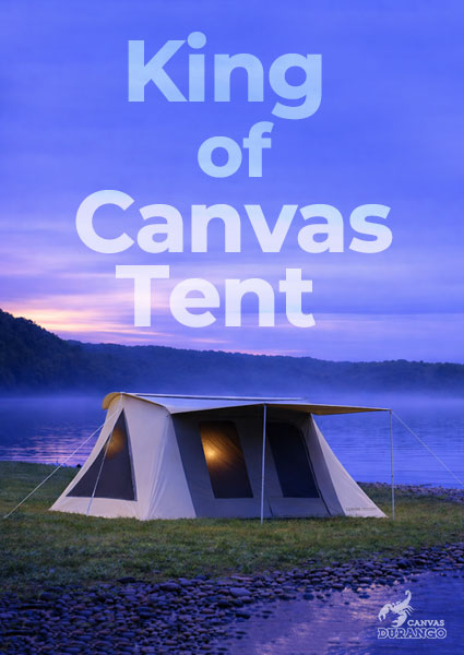 king of canvas 04